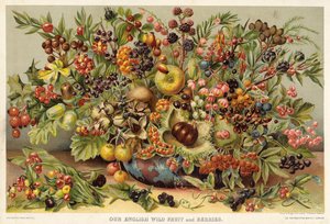 Ons Engelse wilde fruit en bessen door English School